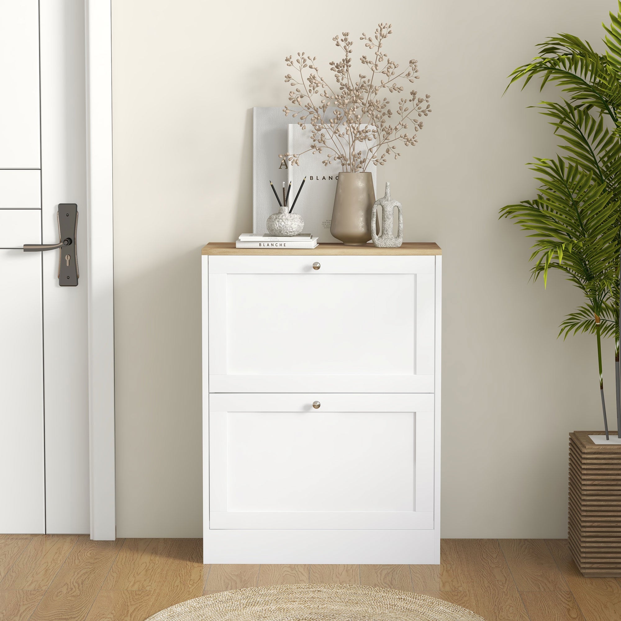 Shoe Storage Cabinet